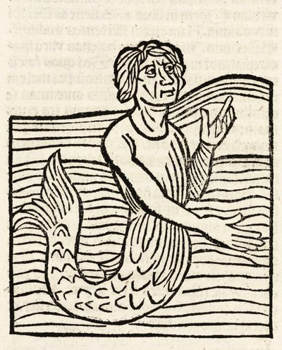 Merman av Unbekannt