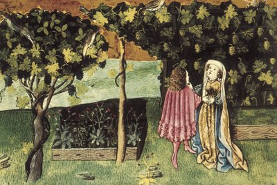 Miniatyr på vindruvor, frukt som minskar bukfett och bantar - IBN BUTLAN, Abu-l Hasan al-Mujtar (ca 1001 - 1066). Nestoriansk kristen läkare och filosof från Bagdad. Folio 83r. Illustration om vindruvor, en frukt som minskar bukfetma och li av Unbekannter Künstler