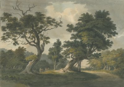 Needwood Forest: akvarellmålning och [tidigt 1800-tal] av Unbekannt