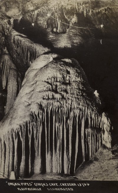 Orgelpipor, Gough