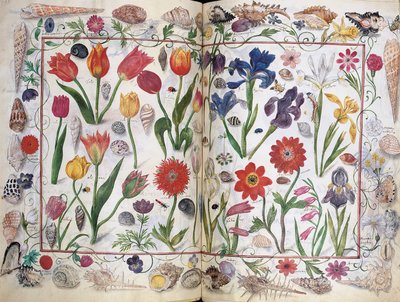 Sidor från albumet Amicorum av Philipp Hainhofer, 1596-1633 av Unbekannt