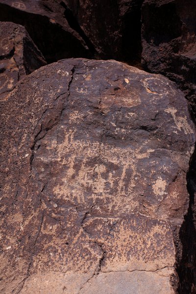 Petroglyphs föreställande djur och karaktärer - Petroglyph National Monument - Albuquerque, New Mexico, USA (USA) av William M. Timlin