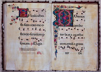 Piccolomini bibliotek: körbok, cod.12.N, ff. 92v-93r med "Foliated initial", av Venturino Mercati. av Unbekannter Künstler