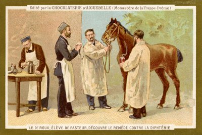 Pierre Paul Émile Roux av Unbekannter Künstler
