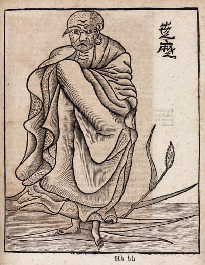Porträttdagen Bodhidharma (v av Unbekannt