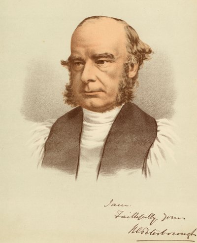 Porträtt av William Magee av Unbekannter Künstler