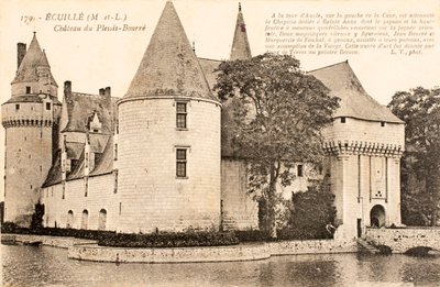 Vykort / Chateau de Plessis Bourre / Ecuille / Maine et Loire / Pays de Loire / Frankrike av William M. Timlin