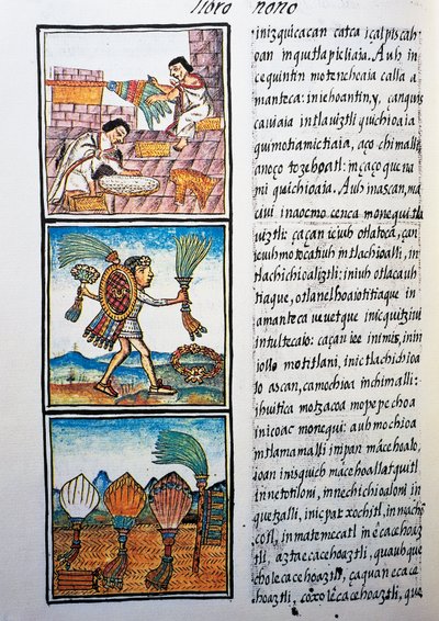 Bearbetning av fjädrar, text på Nahuati, från faksimil av manuskriptet General History of Things of New Spain, även känd som Florentine Codex, av Bernardino de Sahagun av William M. Timlin