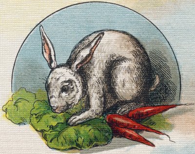 Kanin äter en morot. Gravyr i "Alphabet de ma petite fille". Bernardin-Bechet och Fils, bokhandlare-förlag, Paris, omkring 1895. Okrossbart album på duk. Bibliotheque des Bebes. 12 sidor. Album som innehåller en läsmetod och en illustrativ a av Unbekannt