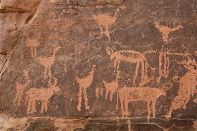 Stenkonst, förhistoria: Detalj av en gravyr av en uppsättning strutsar och boskap i Uweinat-massivet, Egypten (perioden från 8000 till 3000 år f.Kr.). Fotografi av Unbekannt
