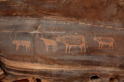 Stenkonst, förhistoria: Gravering av fyra nötkreatur i Uweinat-massivet, Sudan (Karkur-Talh eller Karkur Talh). Period från 8000 till 3000 år f.Kr. Fotografi av Unbekannt