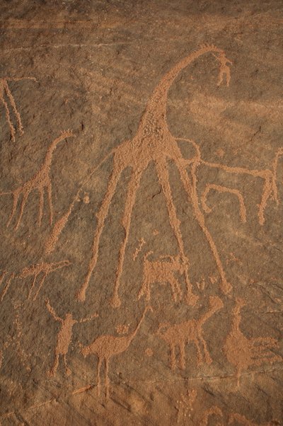 Bergkonst, Förhistoria: Gravering av giraffer, strutsar, får och karaktärer i Uweinat-massivet, Sudan (Karkur-Talh eller Karkur Talh). Period från 8000 till 3000 år f.Kr. Fotografi av Unbekannt