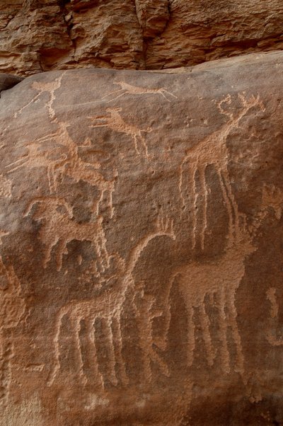 Bergkonst, förhistoria: Gravering av giraffer, strutsar, får, hund och karaktär i Uweinat-massivet, Sudan (Karkur-Talh eller Karkur Talh). Period från 8000 till 3000 år f.Kr. Fotografi av Unbekannt