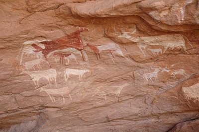 Stenkonst, förhistoria: Målning av en uppsättning nötkreatur i ett utsmyckat skydd, i Uweinat-massivet, Sudan (Karkur-Talh eller Karkur Talh). Period från 8000 till 3000 år f.Kr. Fotografi av Unbekannt