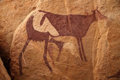 Stenkonst, förhistoria: Stenmålning av en stor tvåfärgad ko och dess kalv i ett utsmyckat skydd, i Uweinat-massivet, Sudan. Period från 8000 till 3000 år f.Kr. Fotografi av Unbekannt