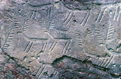 Hällristningar i Massi di Cemmo National Archaeological Park, Val Camonica (Unescos världsarvslista av William M. Timlin