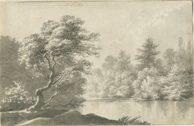 Shenstone - Pool nära Little Aston: sepiatvättteckning, nd [1800-talet] av Unbekannt