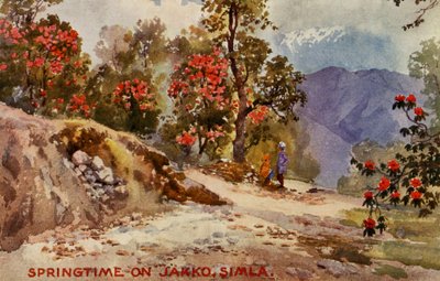 Vår på Jahko, Simla, Indien av Unbekannter Künstler