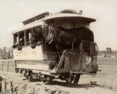 The Cherrelyn Horse Car, Denver, Colorado, ca 1890 (s/v foto) av Nicolas Liez
