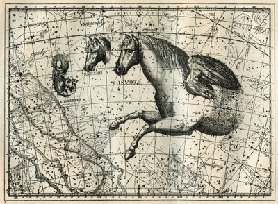 Stjärnbilden Pegase, ritar som anterieure halvan av en häst med ett par vingar, den lilla hästen, ett hästhuvud och delfinen. Gravyr från "Les étoiles et les autres curiosites du ciel" av Camille Flammarion av Unbekannt