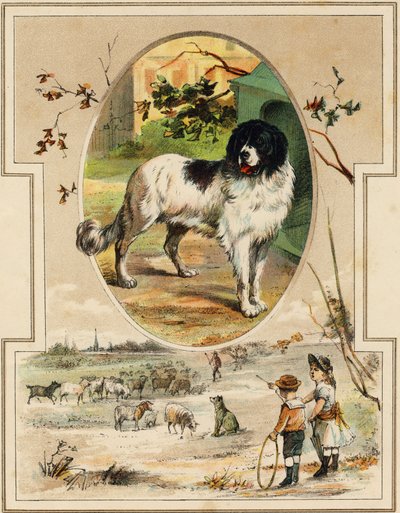 Hunden. Gravyr i "Mon premier Grand Alphabet". Bernardin-Bechet Edition, Paris, ca 1890. Illustrationer av A. des Lilleuls. Ingen sida, 46 sidor. Mått: 31x22 cm. av Unbekannt