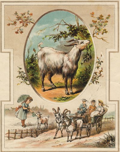 Geten. Gravyr i "Mon premier Grand Alphabet". Bernardin-Bechet Edition, Paris, ca 1890. Illustrationer av A. des Lilleuls. Ingen sida, 46 sidor. Mått: 31x22 cm. av Unbekannt
