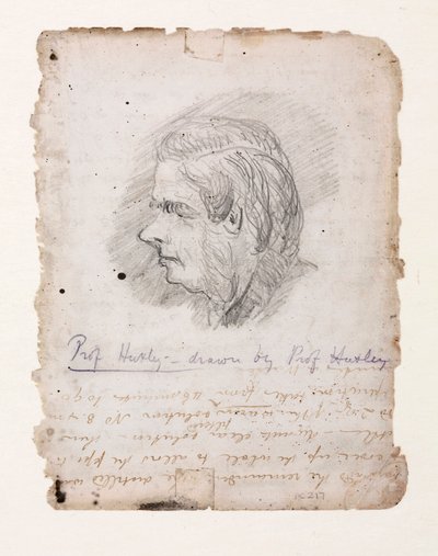 Thomas Henry Huxley, engelsk biolog, mitten av slutet av 1800-talet av Unbekannt