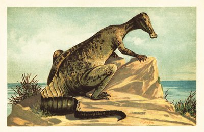 Trachodon mirabilis, utdöd hadrosaurad dinosaurie.1908 (litografi) av Unbekannter Künstler