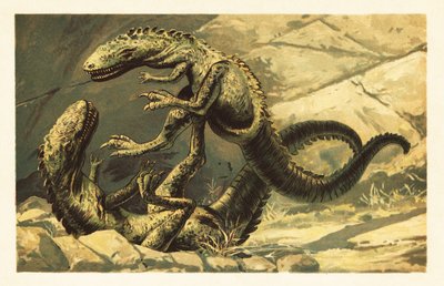 Två stridande Dryptosaurus aquilunguis.1908 (litografi) av Unbekannter Künstler