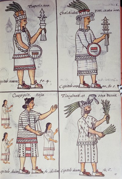 Tzapotlatena, Chalchiuhtlatonal, Cioapipitli och Tliltecuhtli, Florentine Codex, Tvåspråkig version på spanska och Nahuatl, Allmän historia om det nya Spaniens saker, Aztec av William M. Timlin