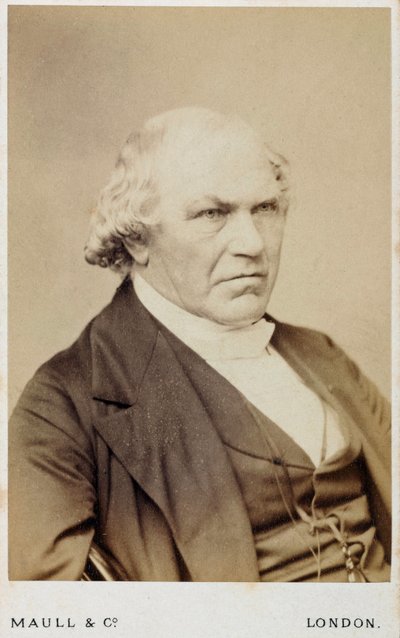 William Whewell, engelsk polymath, c 1866-1879 av Unbekannt