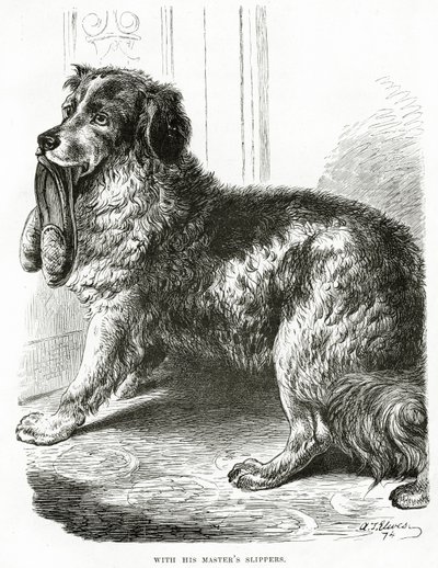 Med sin herres tofflor 1902 (litho) av Unbekannt