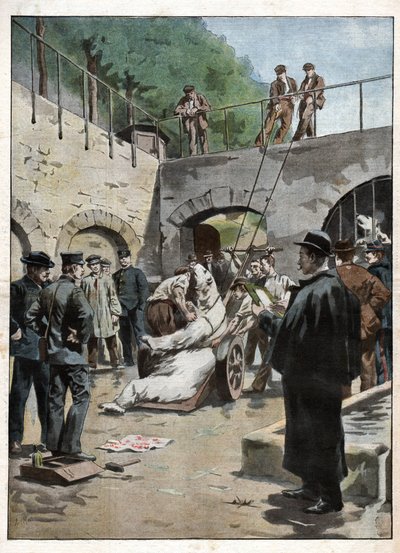 Zoo i Jardin des Plantes. Zoo på Jardin des Plantes. av Nicolas Liez