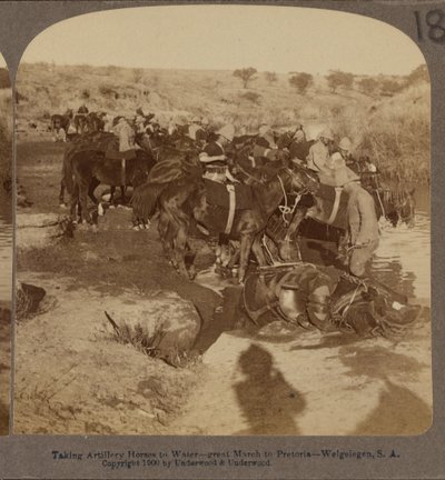 Vattning av artillerihästar, Welgelegen, Sydafrika av Underwood and Underwood