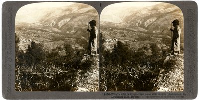 En sidenmasksplantage i Libanonbergen, Syrien, 1900-talet. av Underwood and Underwood