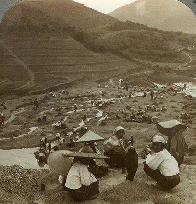 Muddring av en flodbädd efter rubiner, Mogok, Burma, c1900-talet. av Underwood and Underwood