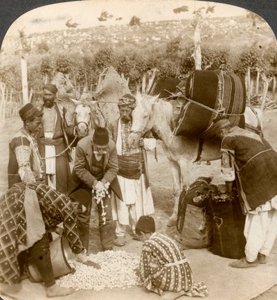 Experter som köper sidenkokonger för export till Frankrike, Antiokia, Syrien, 1900-talet. av Underwood and Underwood