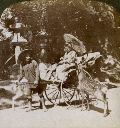 Flicka som matar heliga rådjur på väg till böner, området vid Kasuga-templet, Nara, Japan, 1904 av Underwood and Underwood