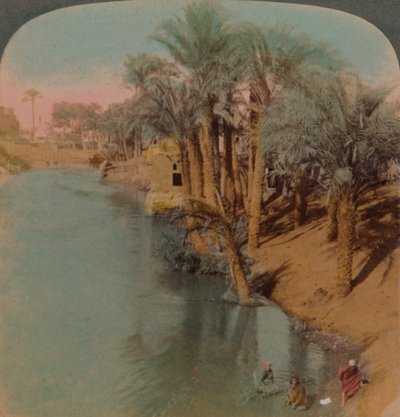 I Fayum, den rikaste oasen i Egypten vid Bahr Yussef River Joseph, till Nilen, 1902. Konstnärer: Elmer Underwood, Bert Elias Underwood. av Underwood and Underwood