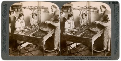 Tillverkar siden, Syrien, 1900-tal. av Underwood and Underwood