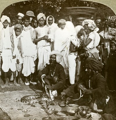 Ormtjusare, Calcutta, Indien, ca 1900-talet. av Underwood and Underwood