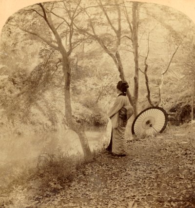 Höstens gyllene dagar i Japan, 1896. av Underwood and Underwood