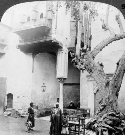 Haremsfönstren i hovet till ett förmöget hus i Kairo, Kairo, Egypten, 1905. av Underwood and Underwood