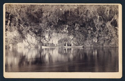 [Under klipporna vid Withlacoochee-floden, Florida] av Unidentified