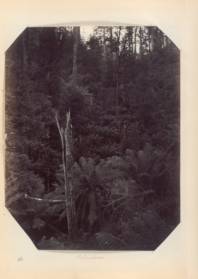 Australien - (Victoria och S. Australien) av Unknown
