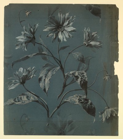 Design för tapeter eller textil av Daisy-Type Flower med Repeat av Unknown