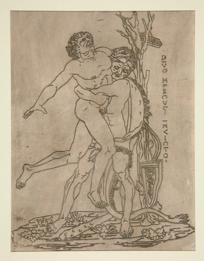 Hercules och Antaeus av Unknown