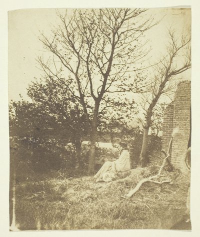 Mrs. Craik sitter utomhus av Unknown