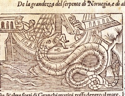 En gigantisk marin orm attackerar ett skepp och slår dess besättning. Gravyr av Olaus Magnus (1490 - 1557), svensk religiös och geograf, "Historia de Gentis Septentrionalibus", Venedig av Unknown artist