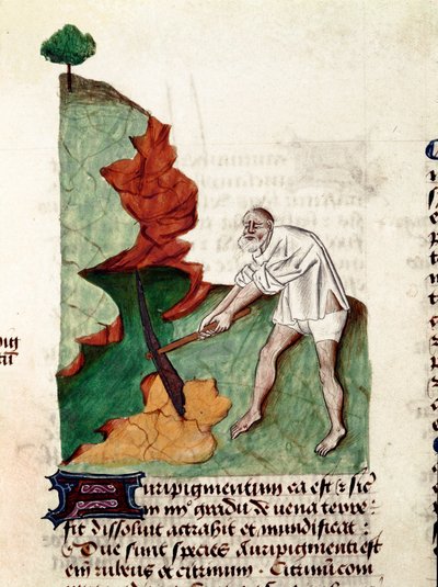 En guldsökarsida av manuskriptet ""Treats on herbs" (Tractatus de herbs) av Pedanius Dioscorides (Dioscorides) (40-90 AD) Lat.1152 av Unknown artist